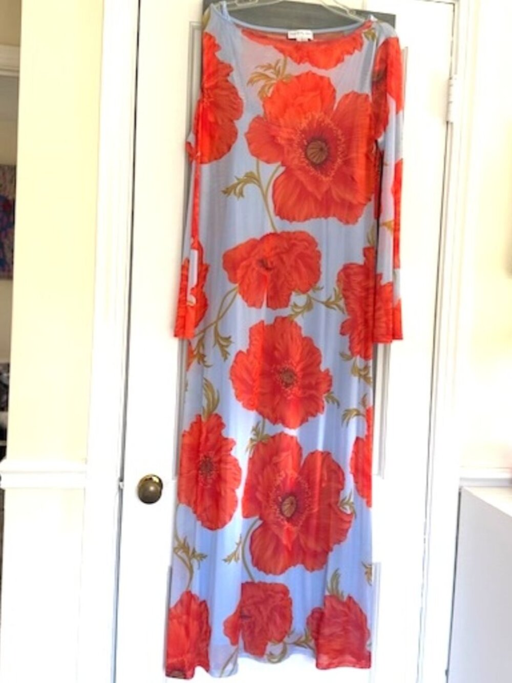 Never Fully Dressed Mesh Maxi Dress In Blue Poppy Dopamine - Picture 4 of 16